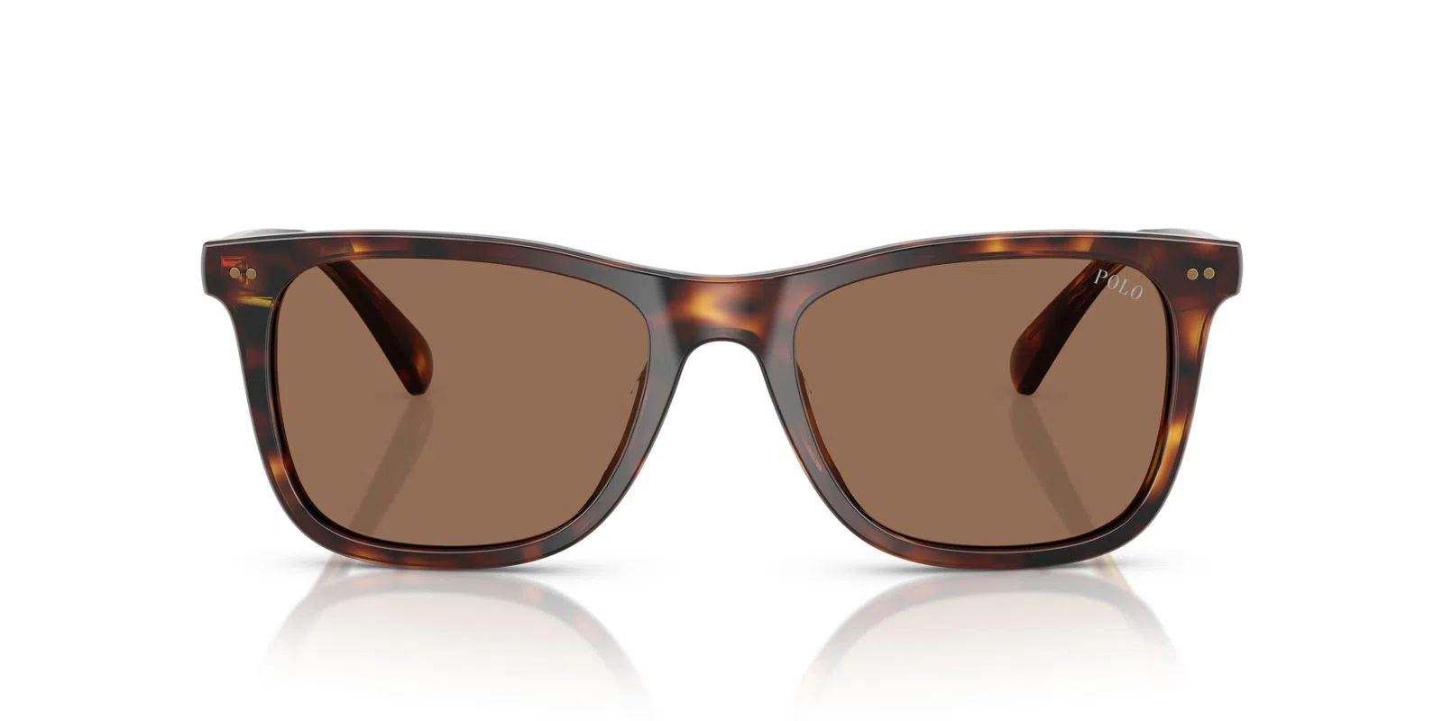Polo 4220F Sunglasses - view 12